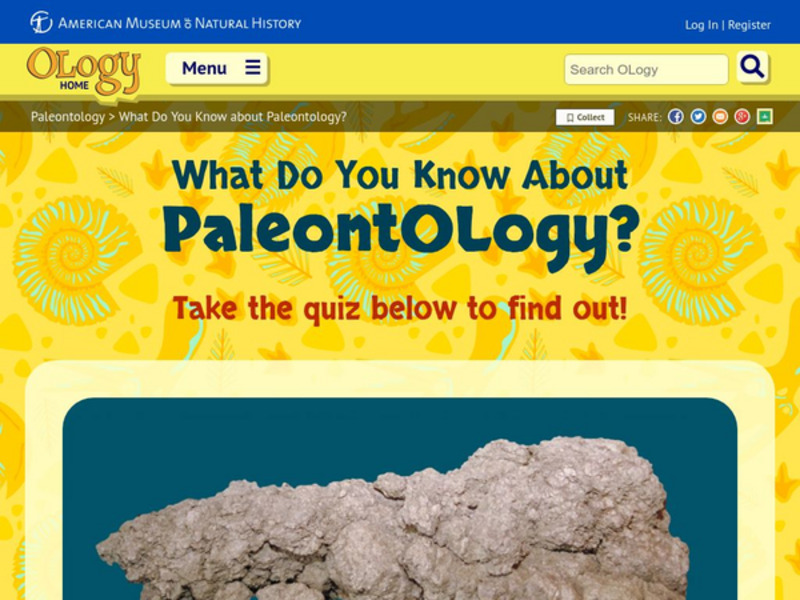 American Museum of Natural History: O Logy: What Do You Know? Dinosaurs Unknown Type American Museum of Natural History: O Logy: What Do You Know? Dinosaurs Unknown Type