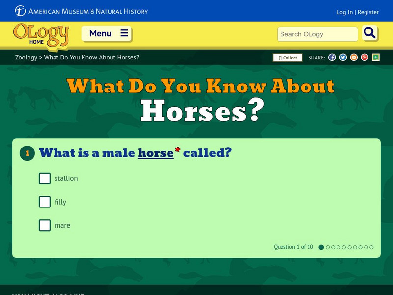 American Museum of Natural History: O Logy: What Do You Know? Horses Unknown Type American Museum of Natural History: O Logy: What Do You Know? Horses Unknown Type