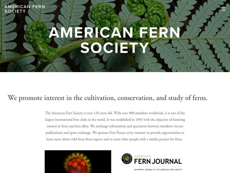 American Fern Society Website