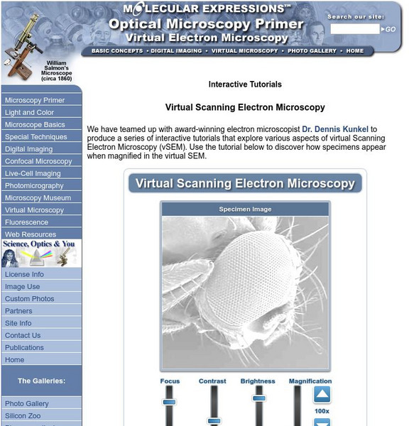 Florida State University: Virtual Scanning Electron Microscopy Interactive Florida State University: Virtual Scanning Electron Microscopy Interactive