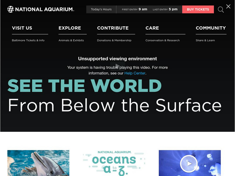 National Aquarium in Baltimore Website National Aquarium in Baltimore Website