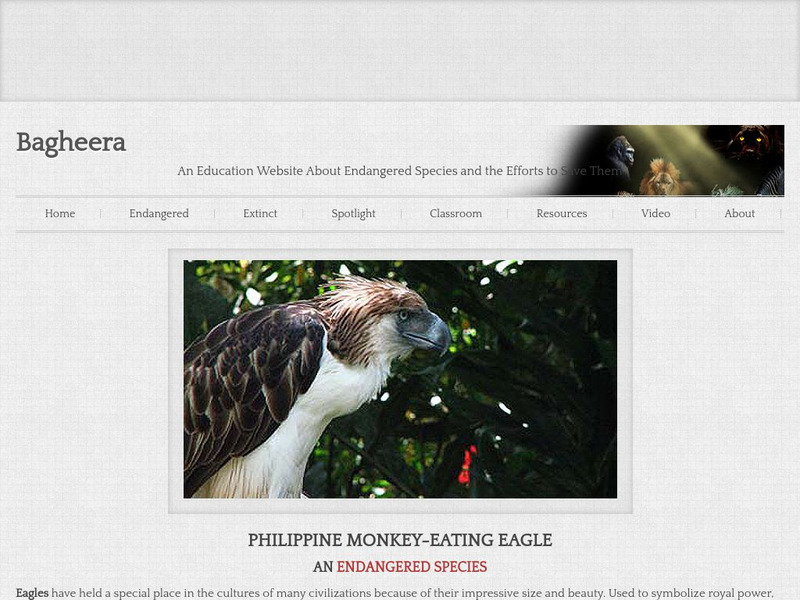 Bagheera: Philippine Eagle Handout Bagheera: Philippine Eagle Handout