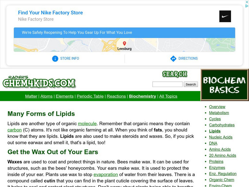 Chem4 Kids: Lipids Handout Chem4 Kids: Lipids Handout