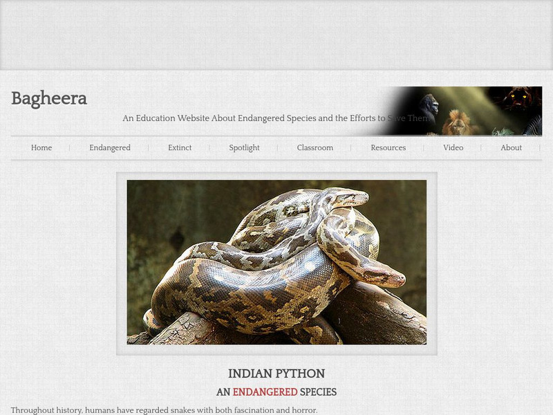 Bagheera: Indian Python Handout Bagheera: Indian Python Handout