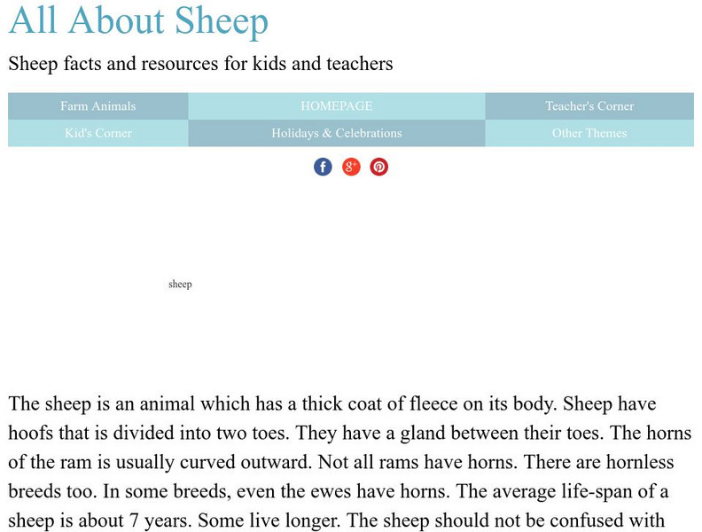 Kiddyhouse.com: All About Sheep for Kids Website Kiddyhouse.com: All About Sheep for Kids Website