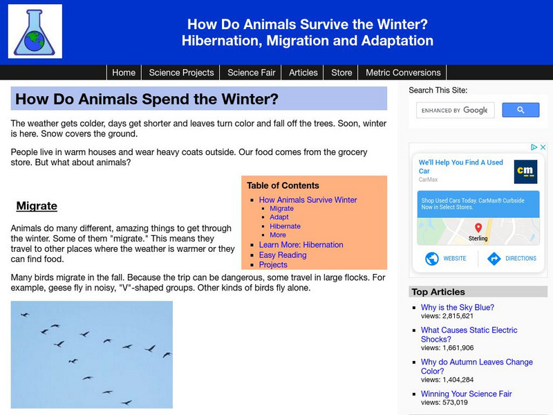 Science Made Simple: How Do Animals Spend the Winter? Handout Science Made Simple: How Do Animals Spend the Winter? Handout