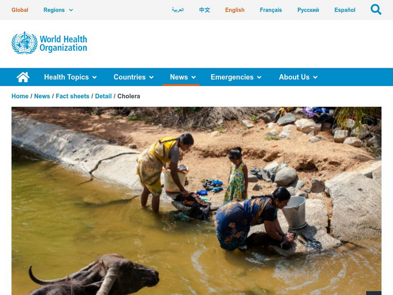 World Health Organization: Cholera Handout World Health Organization: Cholera Handout