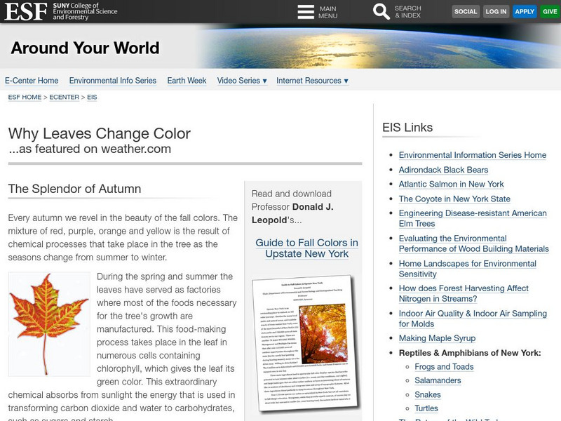Suny E Sf: The Splendor of Autumn Handout Suny E Sf: The Splendor of Autumn Handout