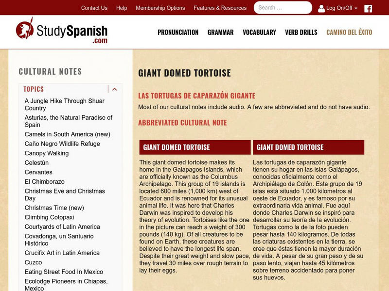 Study Spanish: Las Tortugas De Caparazon Gigante Activity Study Spanish: Las Tortugas De Caparazon Gigante Activity