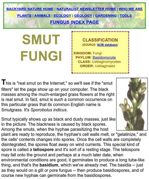 Back Yard Nature: Smut Fungi Handout Back Yard Nature: Smut Fungi Handout