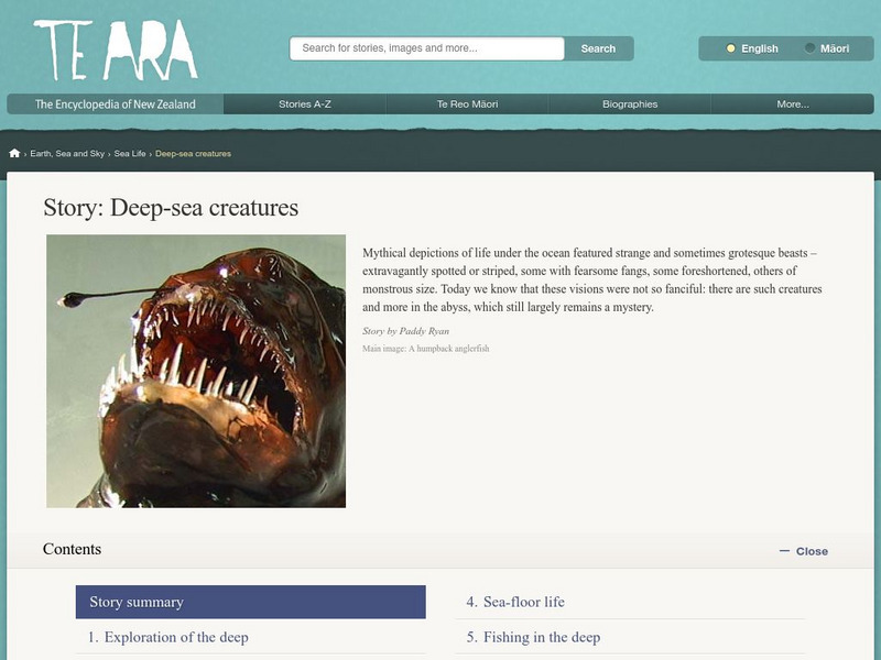 Encyclopedia of New Zealand: Deep Sea Creatures Handout Encyclopedia of New Zealand: Deep Sea Creatures Handout
