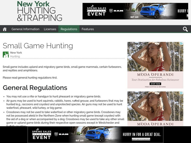 E Regulations: New York Hunting & Trapping Digest: Small Game Hunting Website E Regulations: New York Hunting & Trapping Digest: Small Game Hunting Website