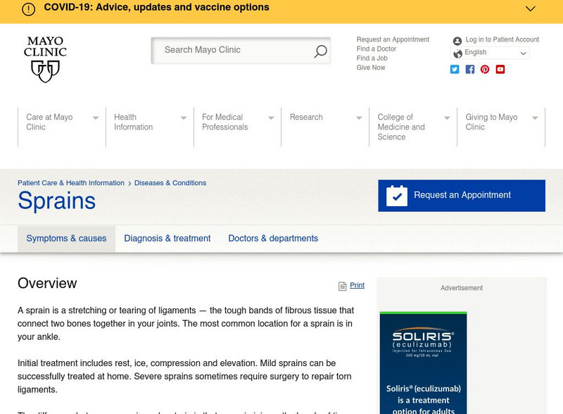 Mayo Clinic: Sprains and Strains Handout