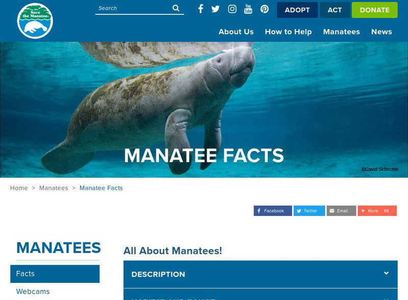 West Indian Manatee Facts Handout West Indian Manatee Facts Handout