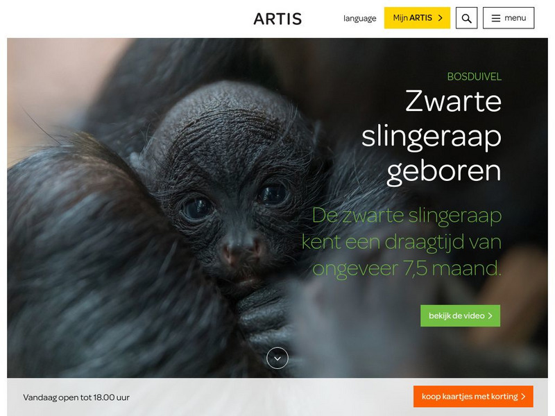Artis Zoo Website Artis Zoo Website