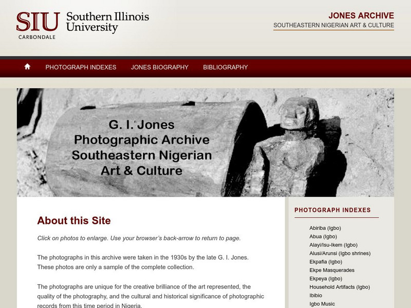 Nigerian Art and Culture Graphic Nigerian Art and Culture Graphic