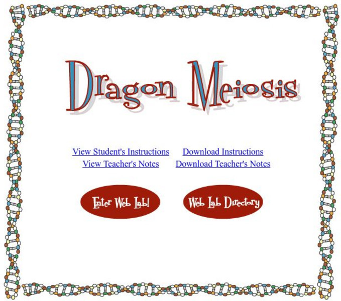 Education Development Center: Dragon Meiosis Interactive Education Development Center: Dragon Meiosis Interactive