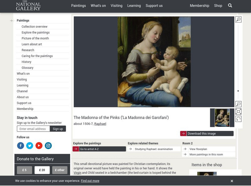 National Gallery, London: Raphael 'The Madonna of the Pinks' Graphic National Gallery, London: Raphael 'The Madonna of the Pinks' Graphic