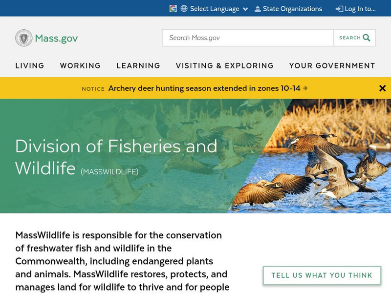 Massachusetts: Division of Fisheries and Wildlife Website Massachusetts: Division of Fisheries and Wildlife Website