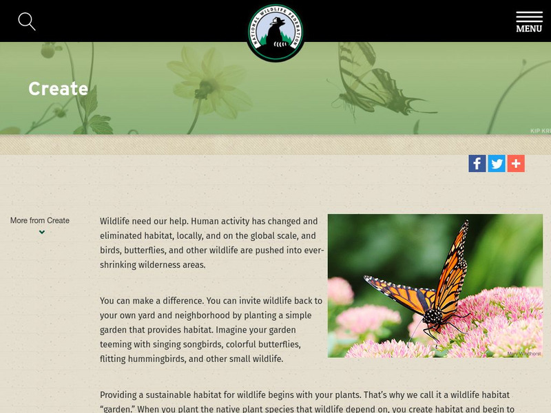 National Wildlife Federation: Create a Certified Wildlife Habitat Website National Wildlife Federation: Create a Certified Wildlife Habitat Website