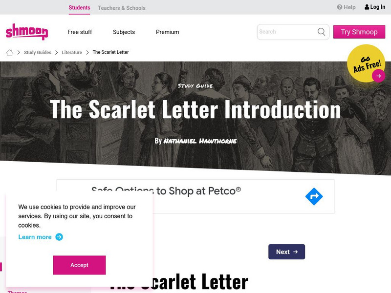 Shmoop: The Scarlet Letter: In a Nutshell Activity Shmoop: The Scarlet Letter: In a Nutshell Activity