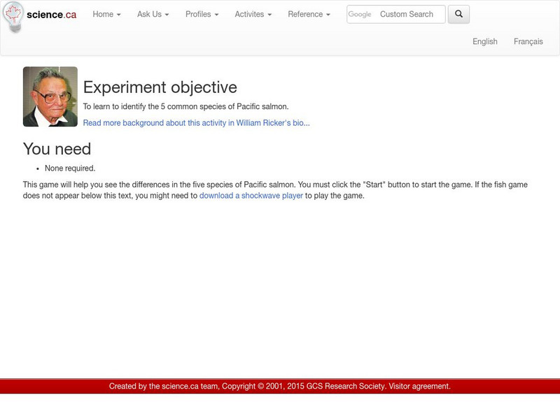 Science.ca: Salmon Identification Game Interactive