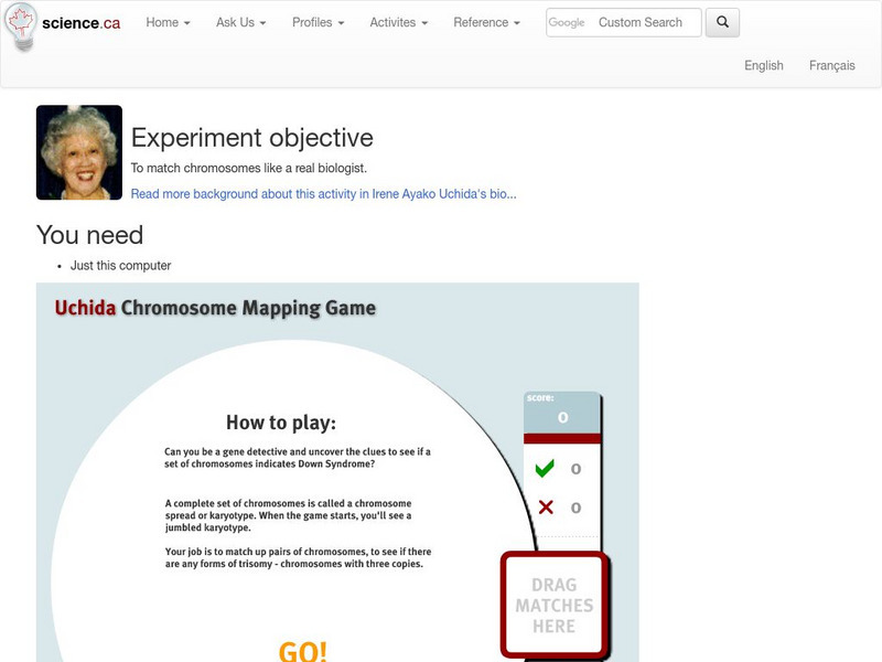 Science.ca: Uchida Chromosome Mapping Game Interactive Science.ca: Uchida Chromosome Mapping Game Interactive