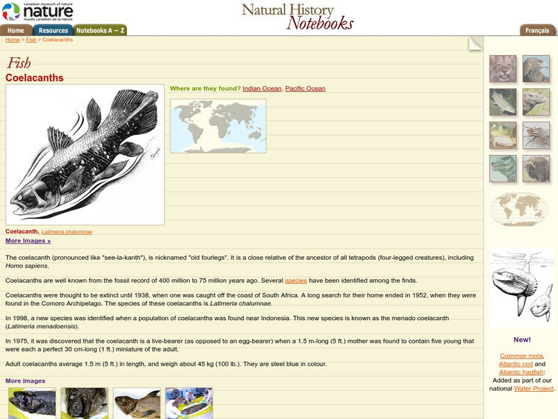 Canadian Museum of Nature: Coelacanths Professional Doc