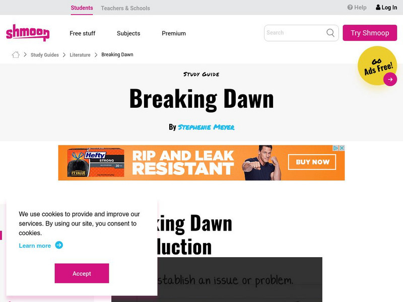 Shmoop: Breaking Dawn Activity