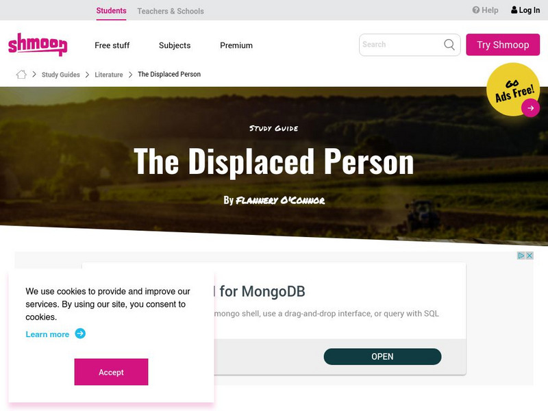Shmoop: The Displaced Person Activity