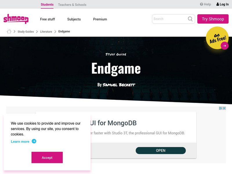 Shmoop: Endgame Activity