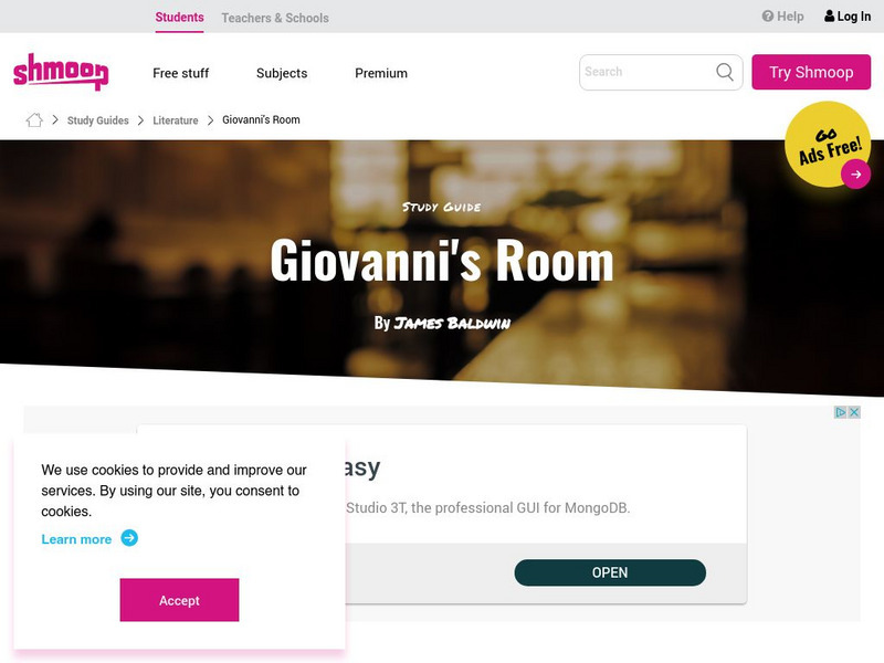 Shmoop: Goivanni's Room Activity Shmoop: Goivanni's Room Activity