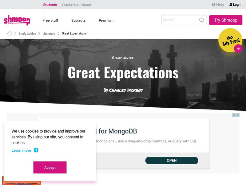 Shmoop: Great Expectations Activity Shmoop: Great Expectations Activity