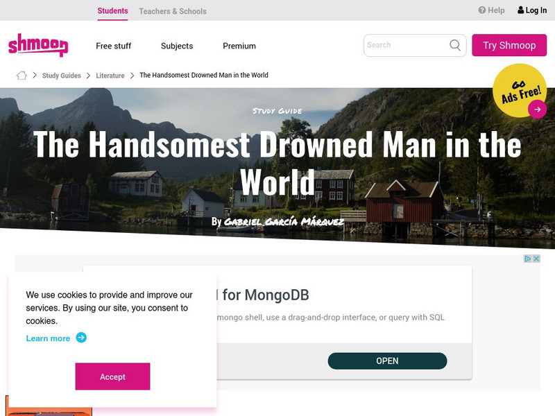 Shmoop: The Handsomest Drowned Man in the World Activity Shmoop: The Handsomest Drowned Man in the World Activity