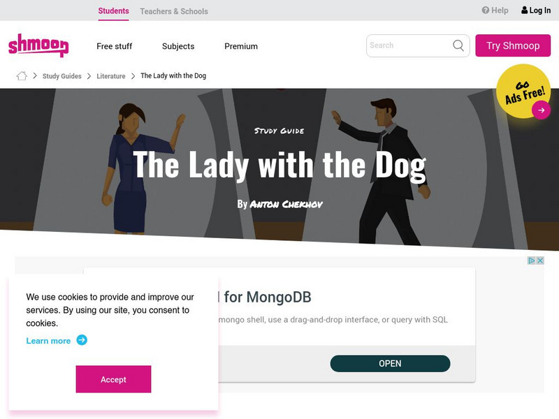 Shmoop: Lady With the Dog Activity