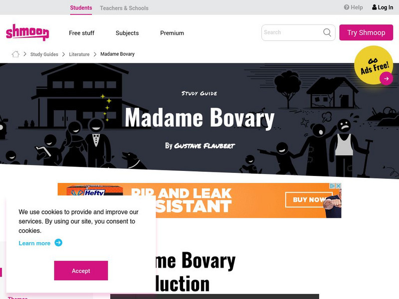 Shmoop: Madame Bovary Activity Shmoop: Madame Bovary Activity