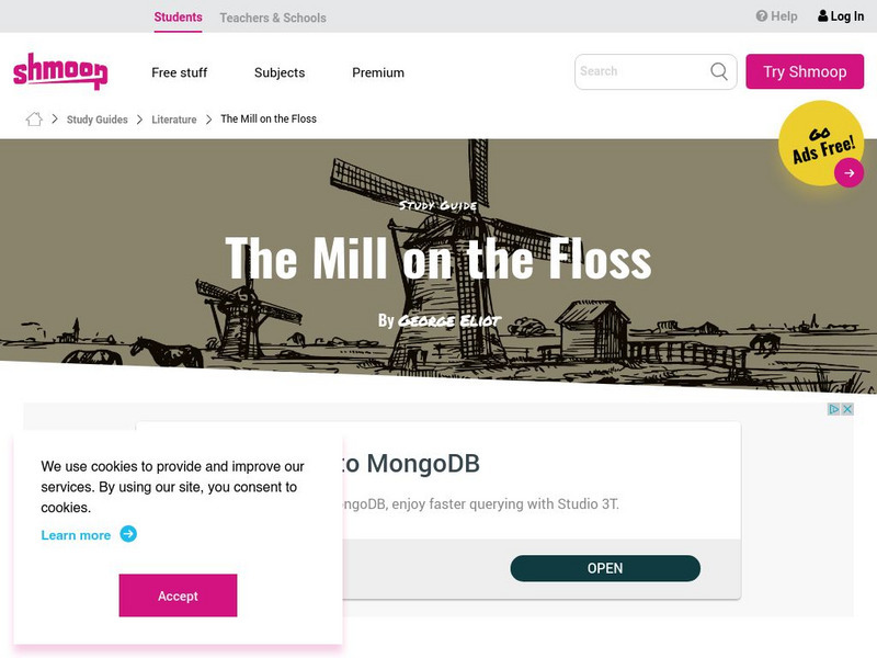 Shmoop: The Mill on the Floss Activity