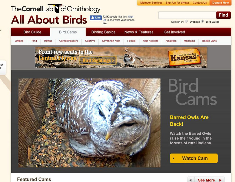 Cornell Lab of Ornithology: Nest Cams Instructional Video Cornell Lab of Ornithology: Nest Cams Instructional Video