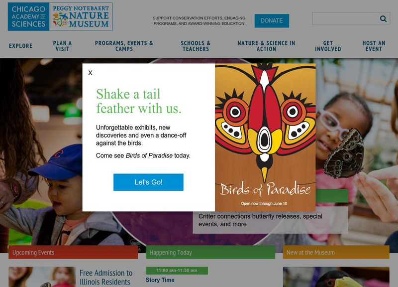 Chicago Academy of Sciences: Notebaert Nature Museum Lesson Plan Chicago Academy of Sciences: Notebaert Nature Museum Lesson Plan