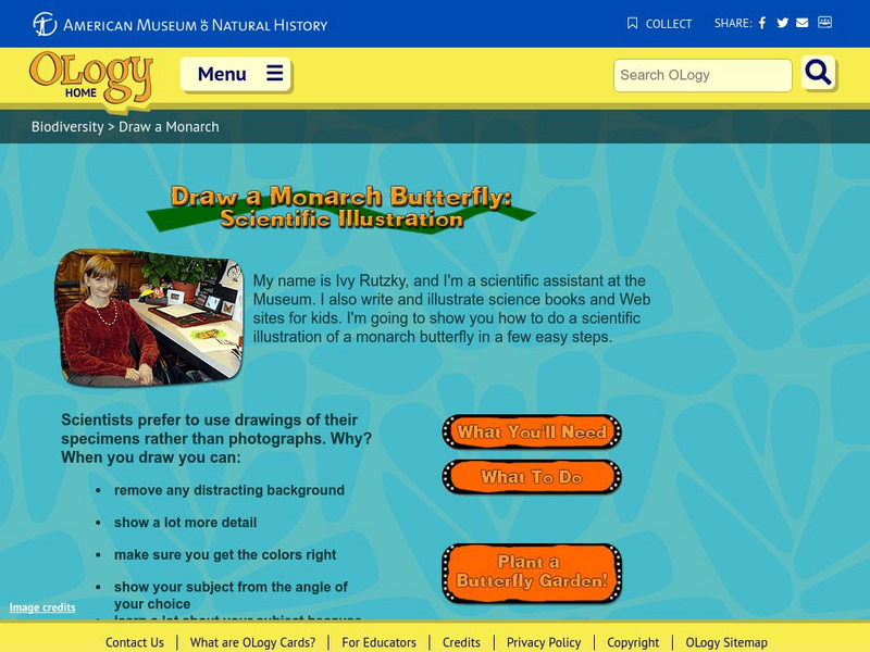 American Museum of Natural History: O Logy: Stuff to Do: Draw a Monarch Butterfly Activity