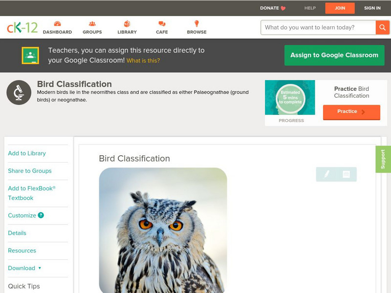 Ck 12: Biology: Bird Classification Unit Plan Ck 12: Biology: Bird Classification Unit Plan