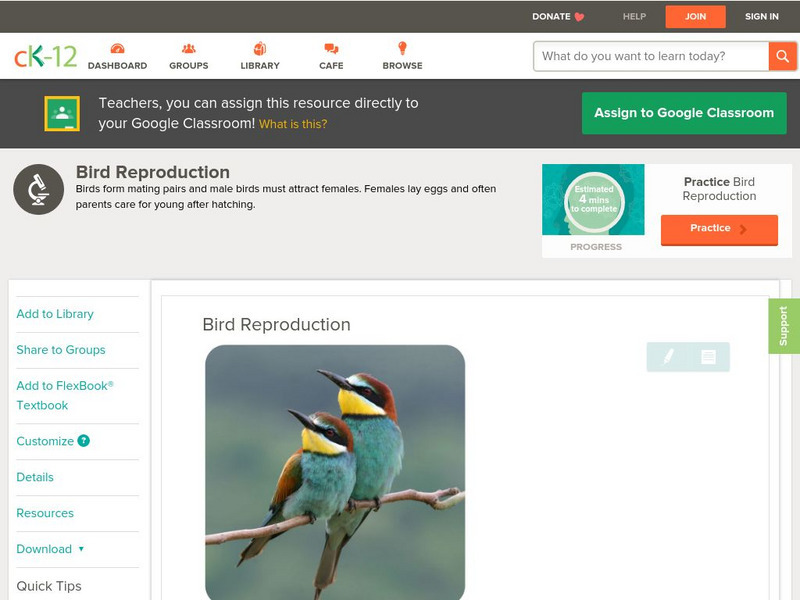 Ck 12: Biology: Bird Reproduction Unit Plan Ck 12: Biology: Bird Reproduction Unit Plan