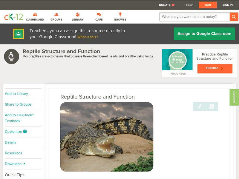 Ck 12: Biology: Reptile Structure and Function Unit Plan Ck 12: Biology: Reptile Structure and Function Unit Plan
