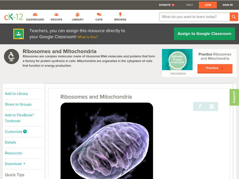 Ck 12: Biology: Ribosomes and Mitochondria Unit Plan