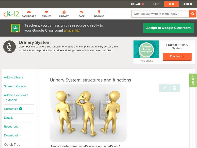 Ck 12: Biology: Urinary System Unit Plan Ck 12: Biology: Urinary System Unit Plan