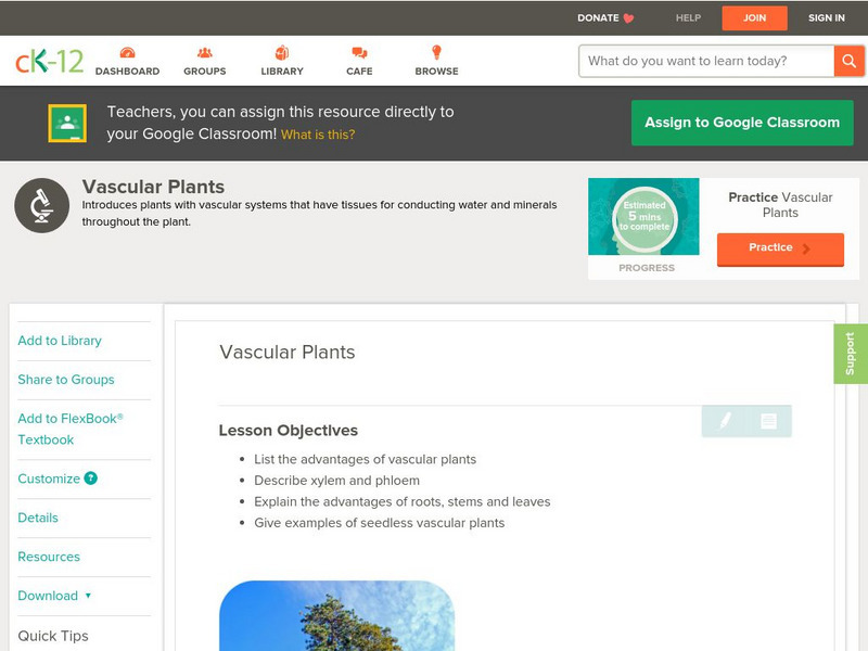 Ck 12: Biology: Vascular Plants Unit Plan Ck 12: Biology: Vascular Plants Unit Plan