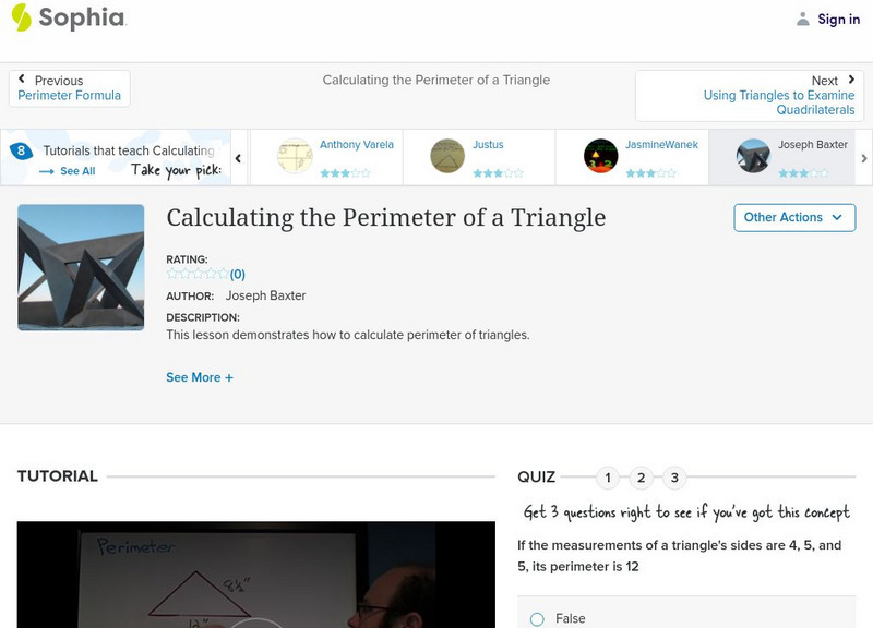 Sophia: Calculating the Perimeter of a Triangle Unit Plan