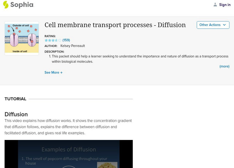 Sophia: Cell Membrane Transport Processes Diffusion Instructional Video