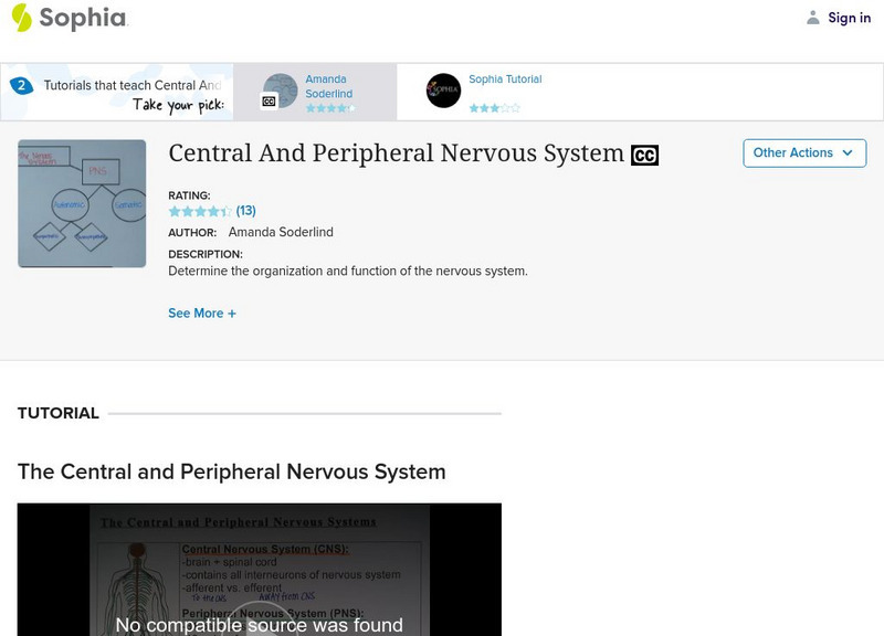 Sophia: Central and Peripheral Nervous System Instructional Video Sophia: Central and Peripheral Nervous System Instructional Video