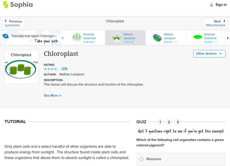 Sophia: Chloroplast Instructional Video Sophia: Chloroplast Instructional Video